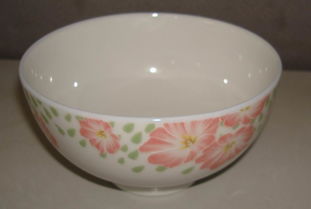 廠家直銷日用家居百貨 餐居碗碟選購指南